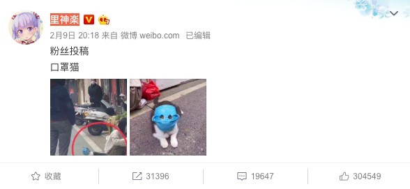 口罩貓