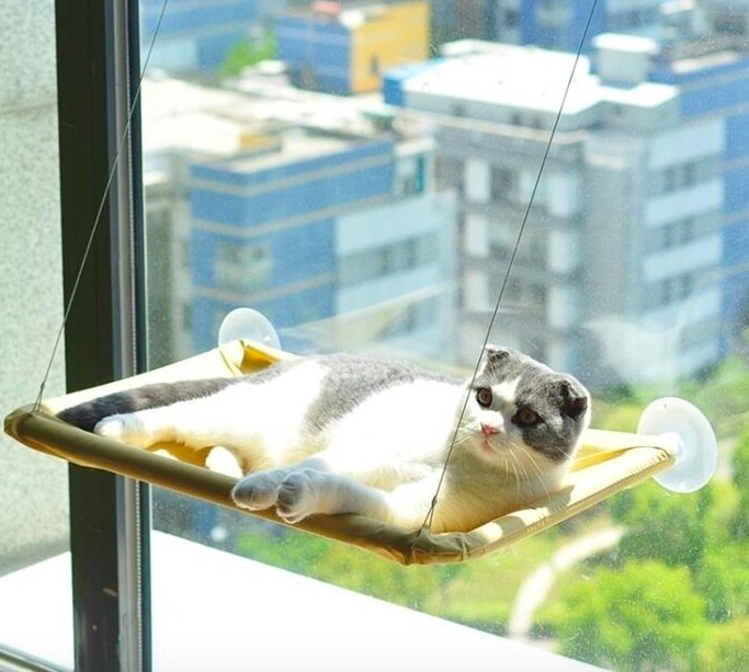 貓吊床