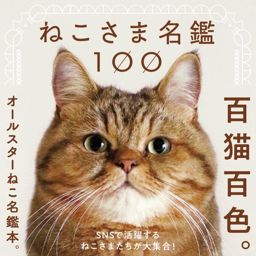日本,網紅貓,萌貓,100隻貓咪圖鑑.