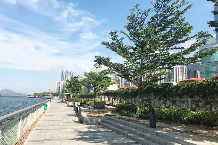 鰂魚涌的海濱花園設有寵物共享空間。